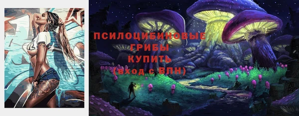 твердый Белокуриха
