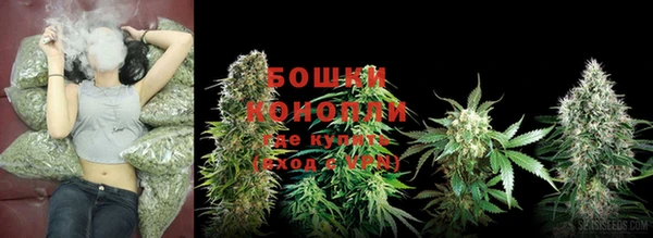 твердый Белокуриха
