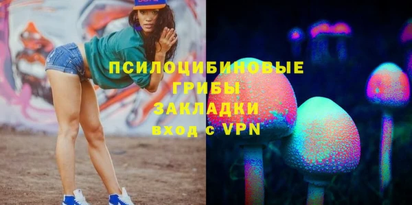 Альфа ПВП Беломорск